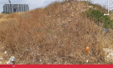 עשבייה בחניון אכדיה דרום