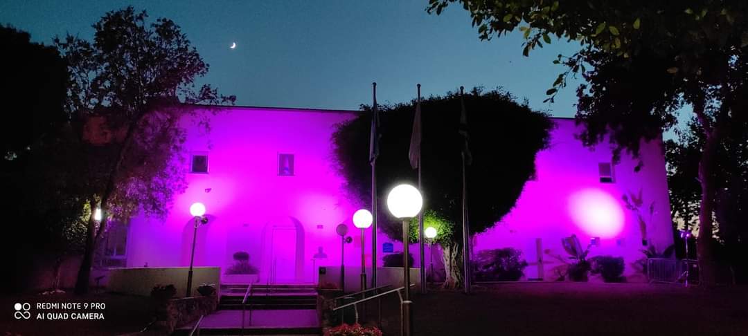 בנין מועצת כפר שמריהו מואר בורוד