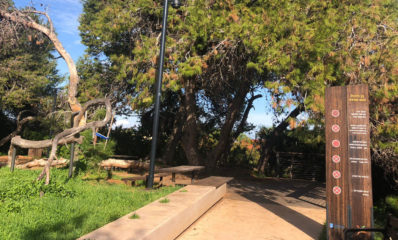 גינה ציבורית בהרצליה הצעירה. צילום: פרטי