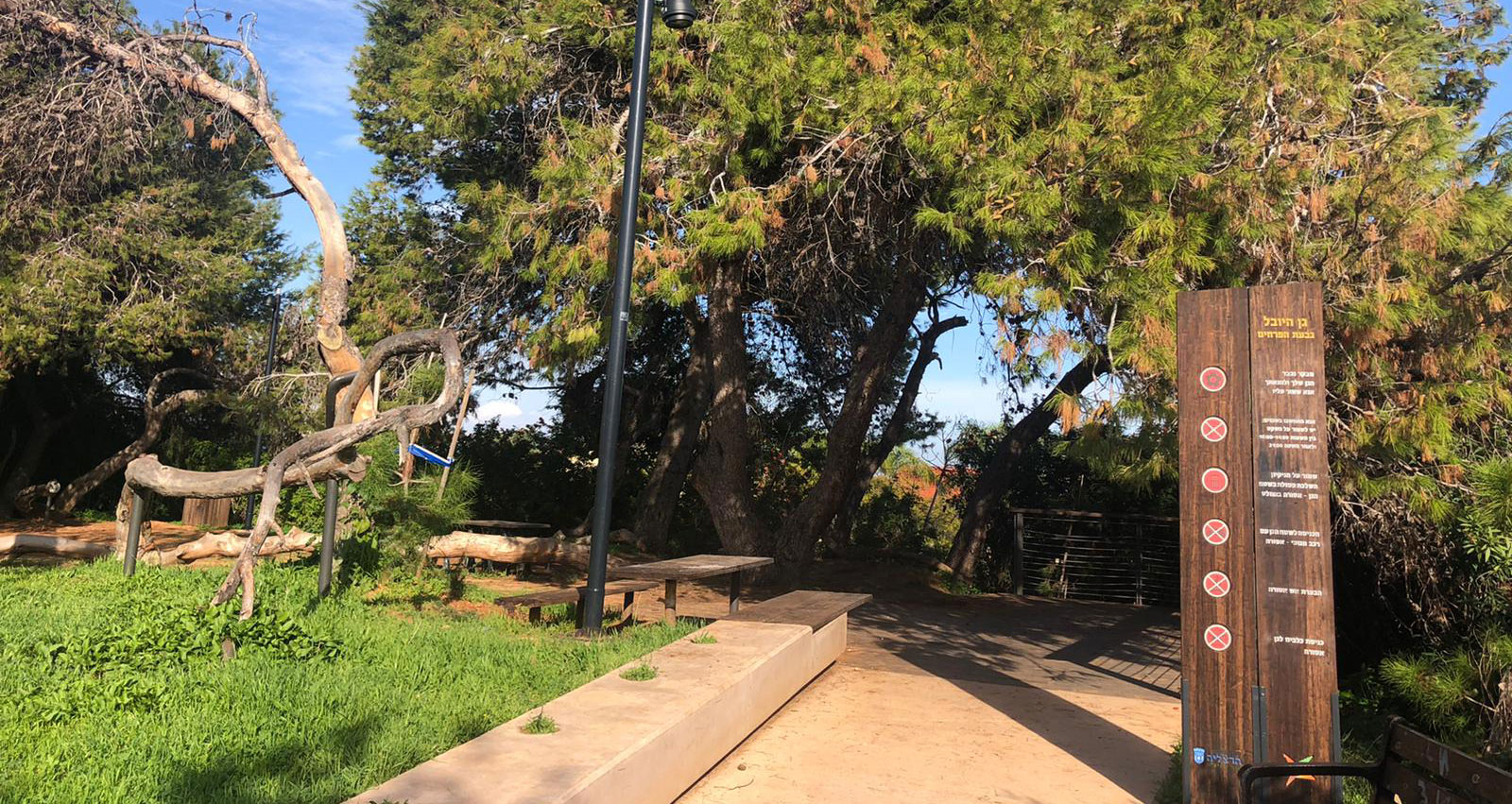 גינה ציבורית בהרצליה הצעירה. צילום: פרטי