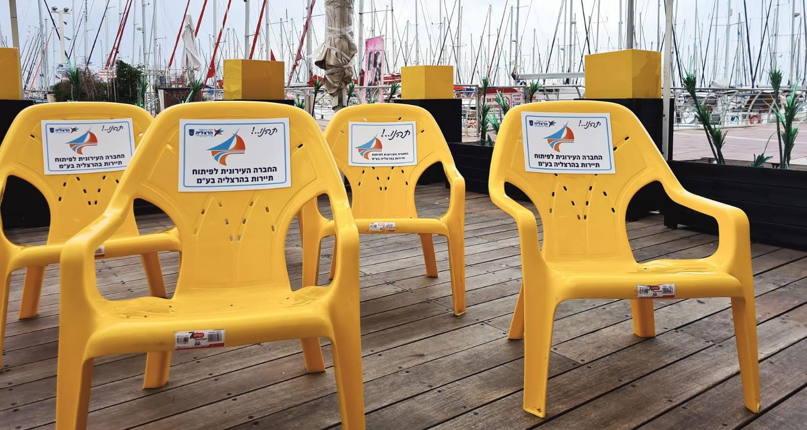 כסאות צהובים במרינה הרצליה