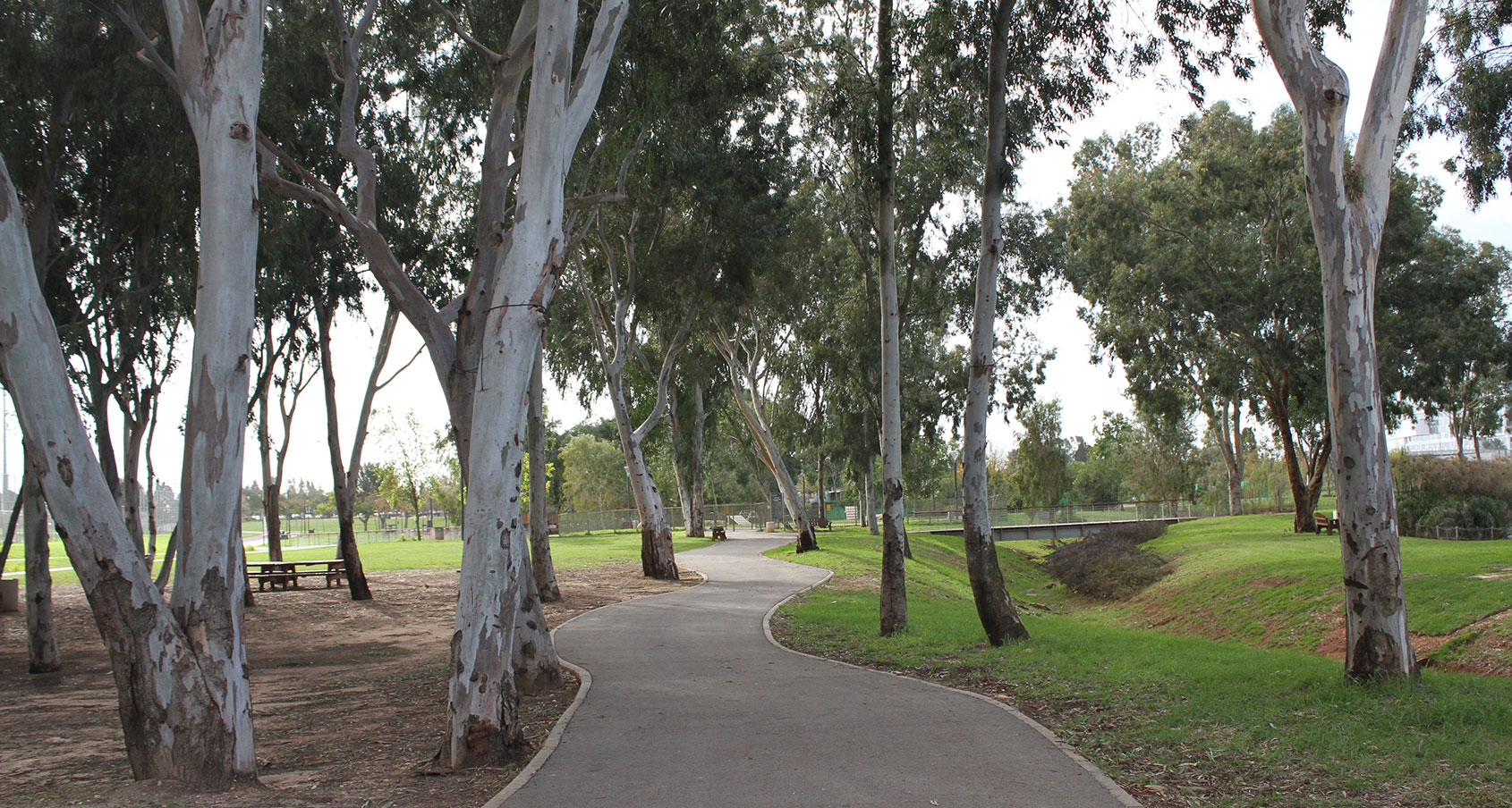 פארק הרצליה