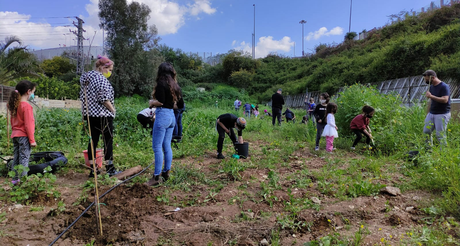 נטיעות בכפר סבא