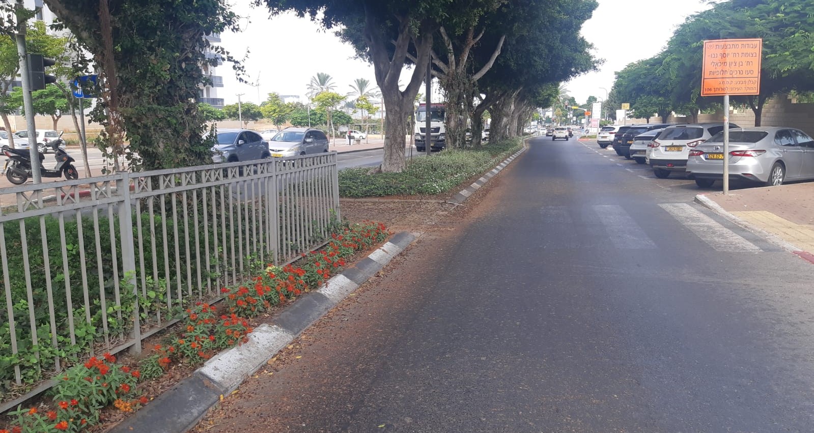 דר הפרדה מסתירה שדה ראייה במעבר חצייה שגם לא צבוע