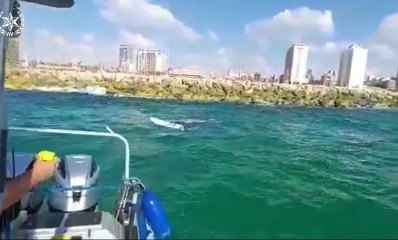 שיטור ימי מחלץ גולש רוח מהתנגשות בשובר הגלים במרינה הרצליה