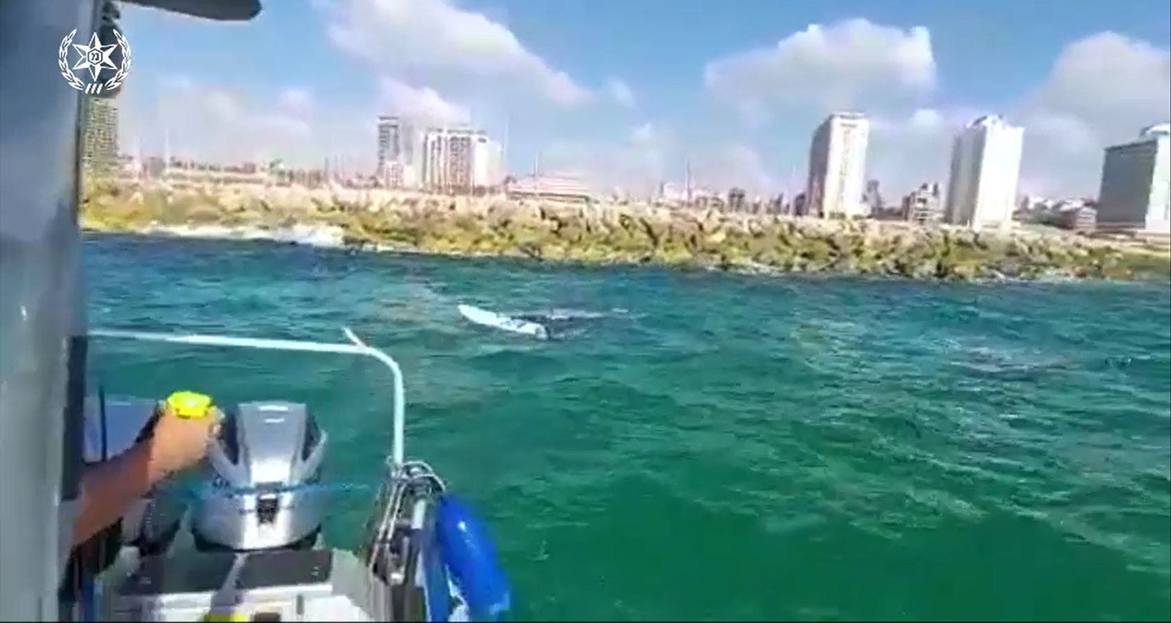 שיטור ימי מחלץ גולש רוח מהתנגשות בשובר הגלים במרינה הרצליה