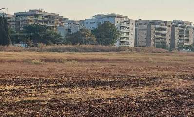 שדה סמוך לשדה התעופה של הרצליה. צילום: צחר רותם