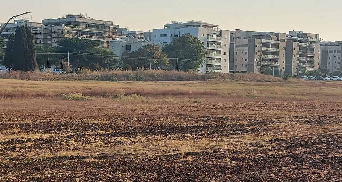 שדה סמוך לשדה התעופה של הרצליה. צילום: צחר רותם