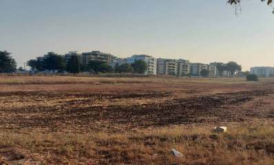 שדה סמוך לשדה התעופה של הרצליה. צילום: מערכת