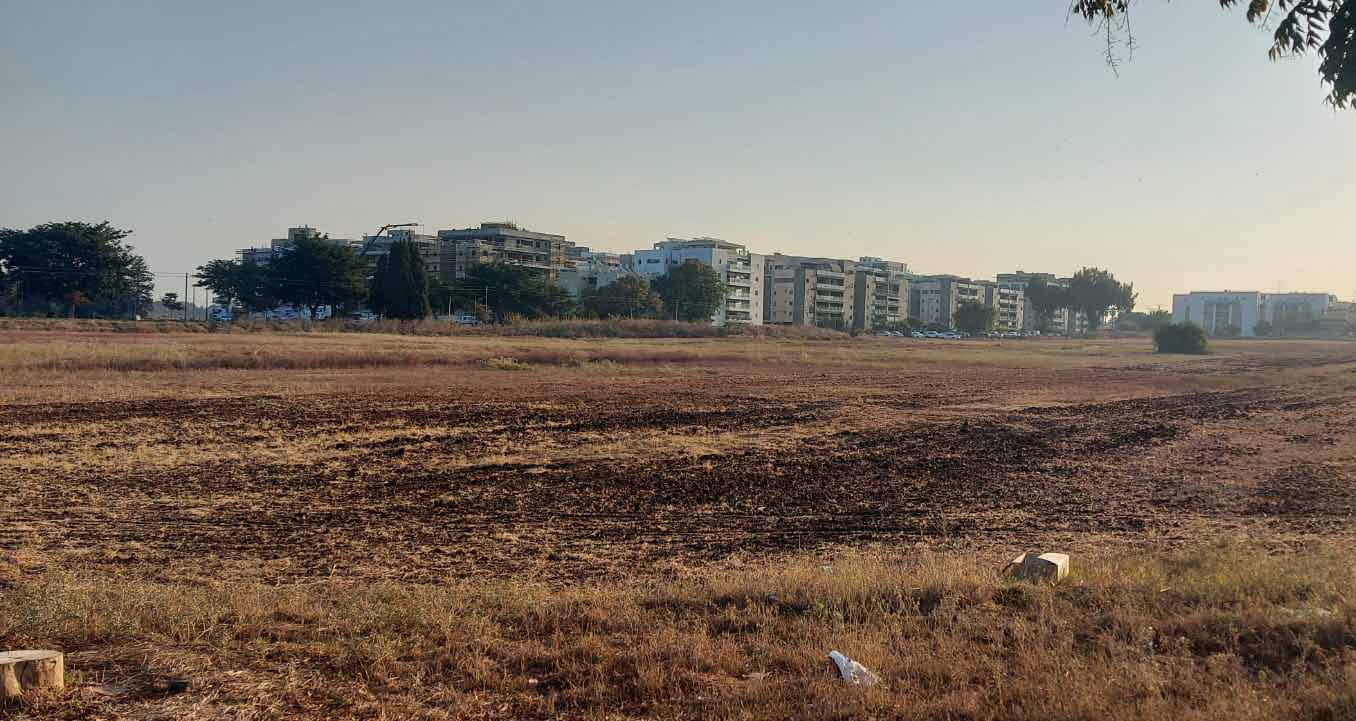 שדה סמוך לשדה התעופה של הרצליה. צילום: מערכת