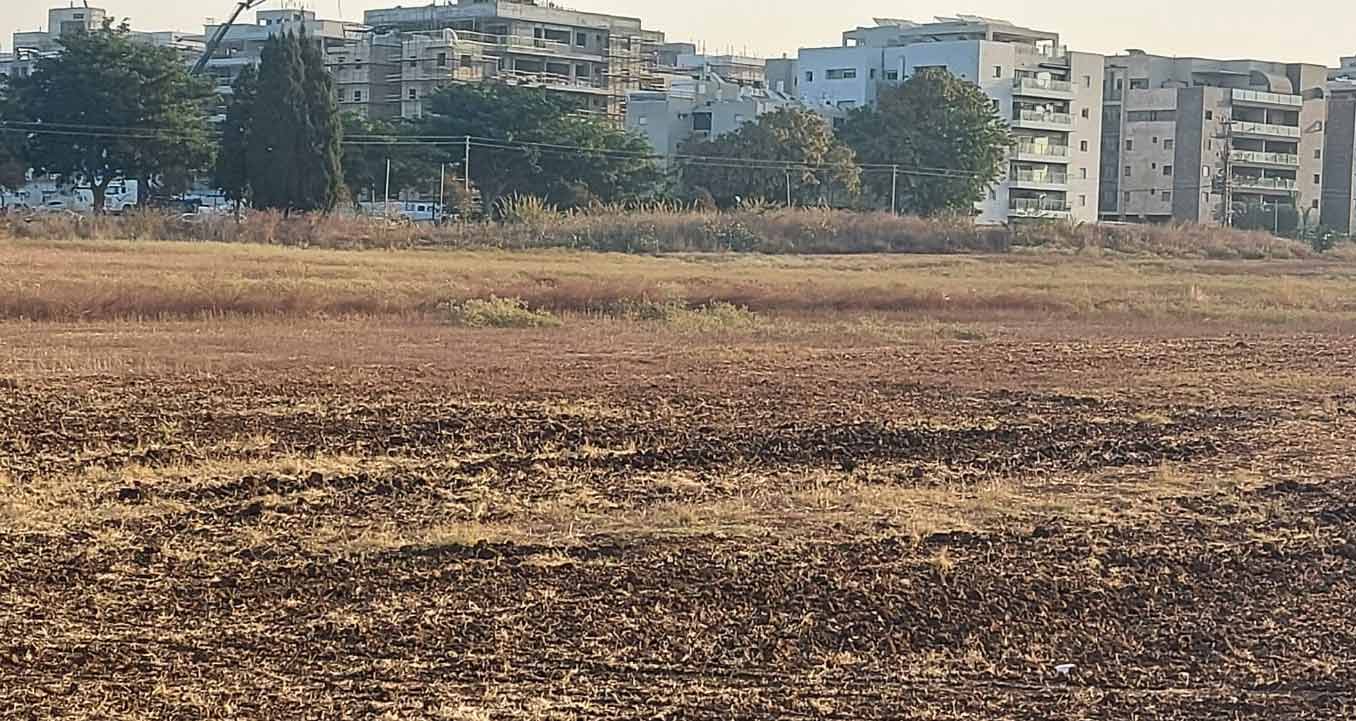 הרצליה הירוקה. צילום: פרטי
