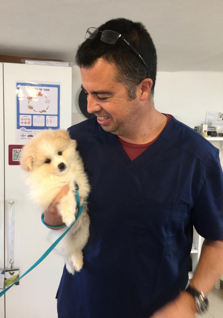 ד"ר גלעד פקטור וטרינר