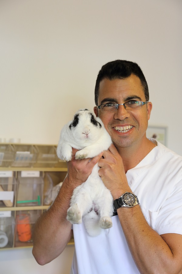 ד"ר גלעד פקטור מהרצליה