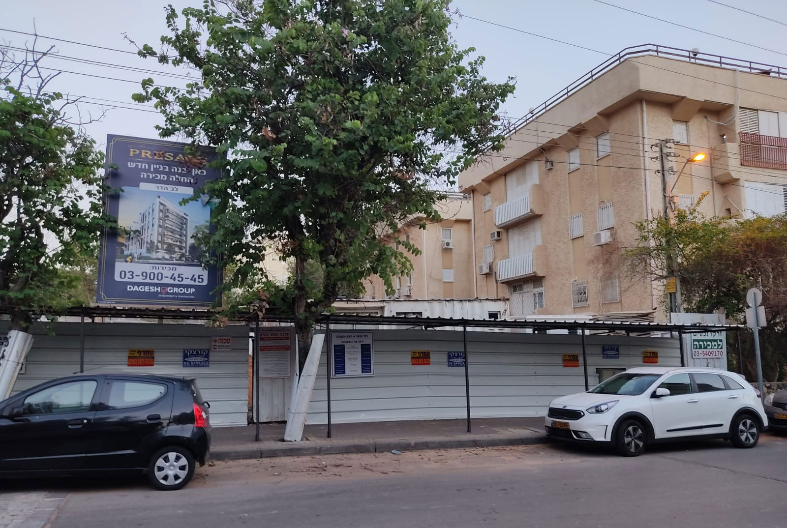 כריתת עצים ברחוב בועז 4 רמת השרון