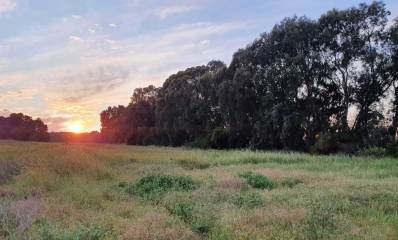 שטח מתחם גלילות רמת השרון