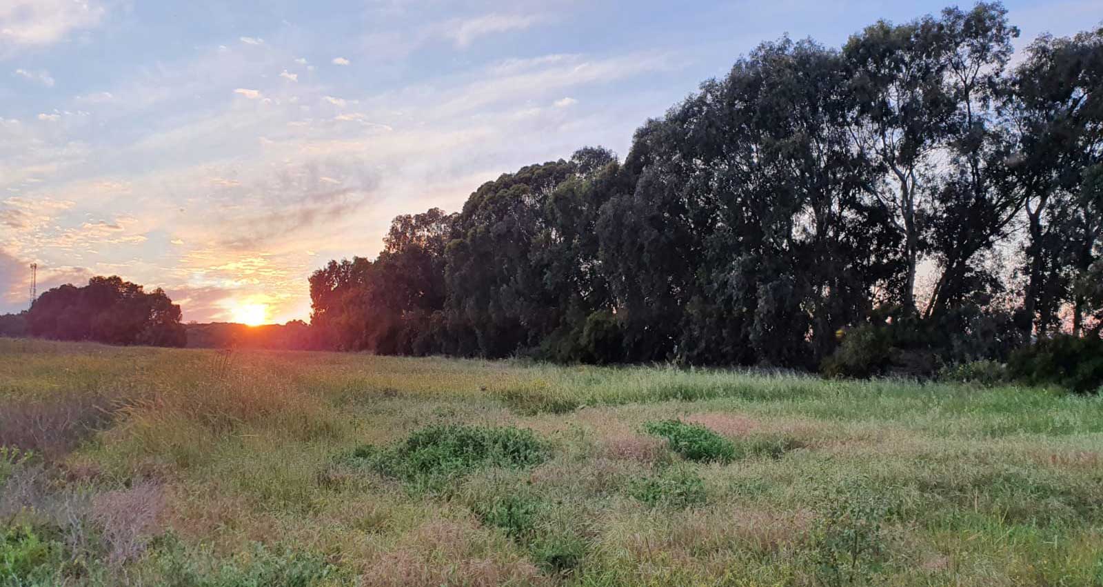 שטח מתחם גלילות רמת השרון