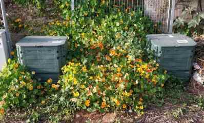 מכשיר קומפוסט ביתי. צילם: דוברות עיריית הרצליה