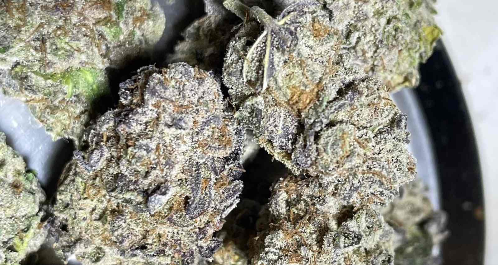 הסמים שנתפסו בחקירה. צילום: דוברות המשטרה