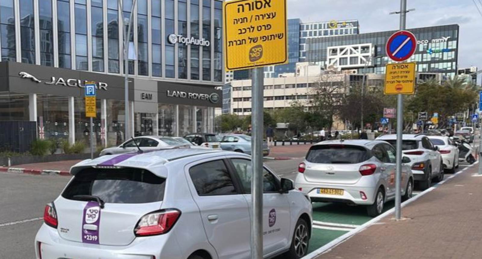 הרכבים השיתופיים בהרצליה. צילום: דוברות עיריית הרצליה