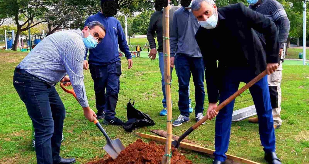 ראש העיר כפר סבא, רפי סער, וסגנו, דני הרוש, בעת שתילת צמחים אמיתיים ליד דשא טבעי בפארק העירוני. צילום: עיריית כפר סבא