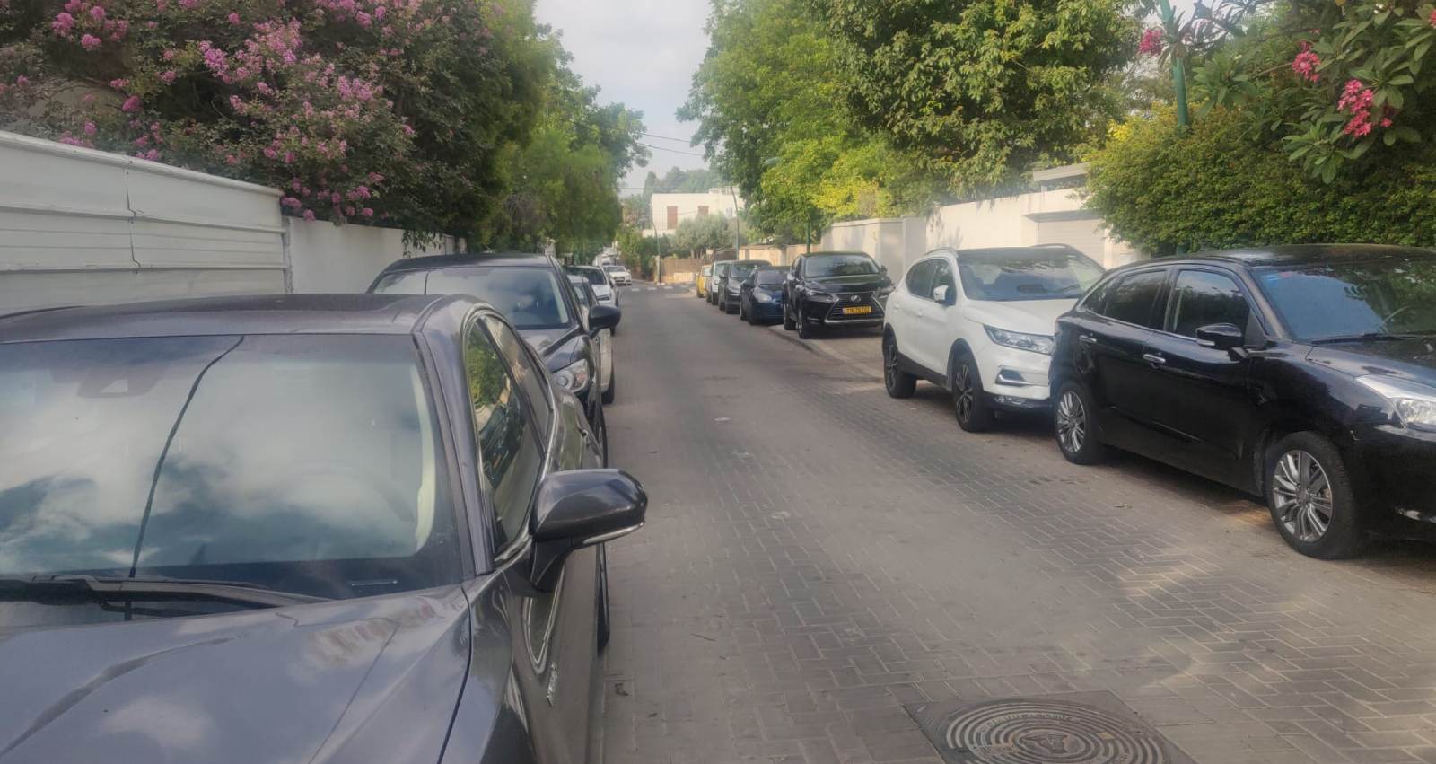 רחוב מוהליבר ברמת השרון