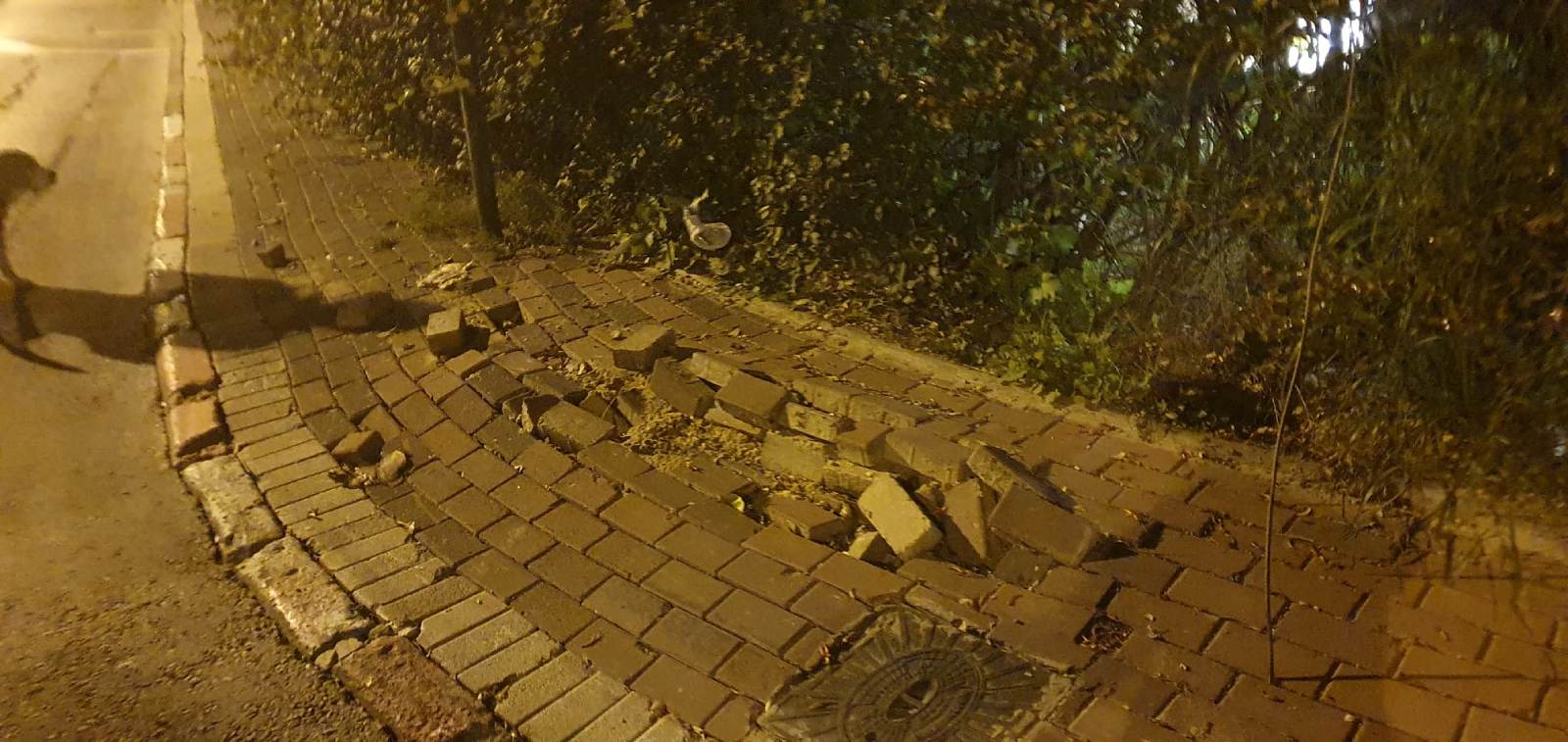 אבני מדרכה שבורות ברחוב למרחב