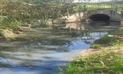 שלולית בהרצליה. צילום: דוברות עיריית הרצליה