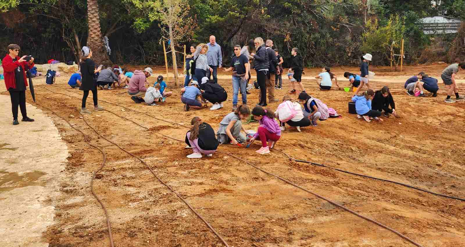 תלמידי בית הספר שותלי צמחים בגינה החדשה. צילום: דוברות עיריית רמת השרון