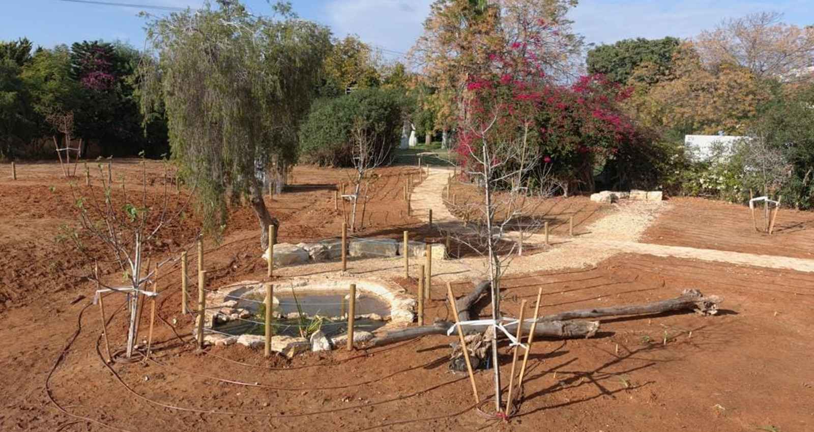 הגינה החדשה בין רחוב נביאים לגפן. צילום: דוברות עיריית רמת השרון