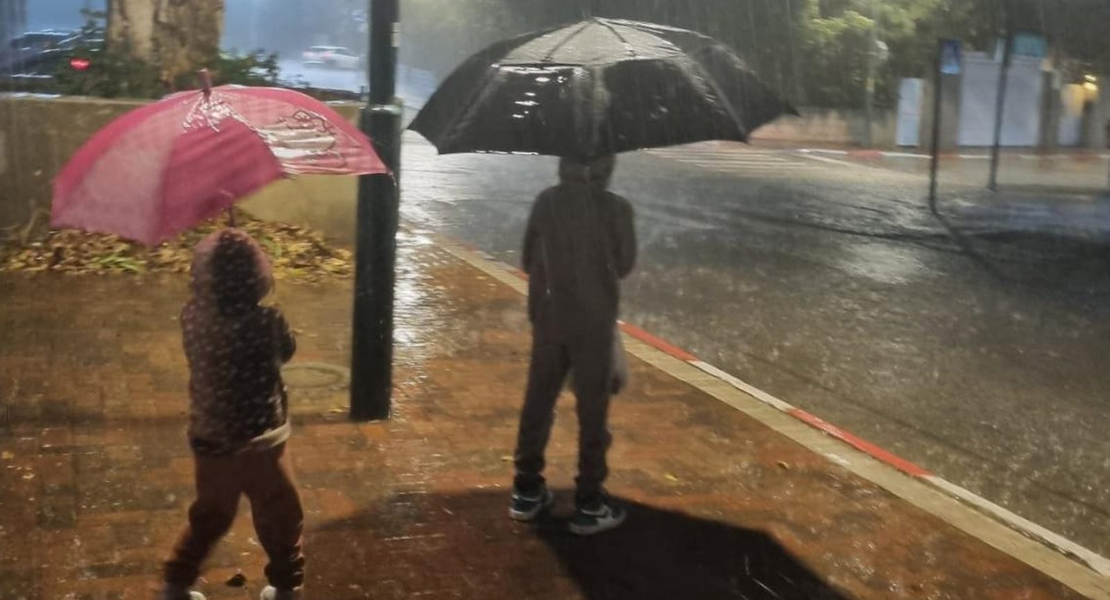 גשם בשרון. צילום המחשה: עיריית רמת השרון