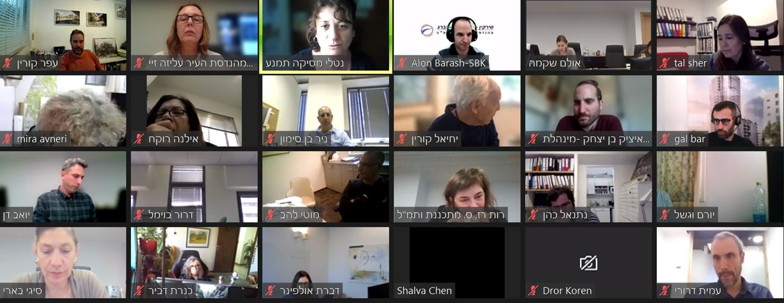 הדיון בותמ"ל, שהתקיים בזום. צילום: עיריית כפר סבא