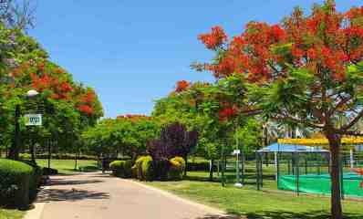 נוף בכפר סבא. צילום: עיריית כפר סבא