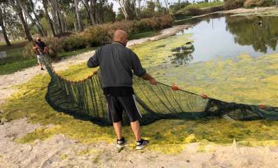 ריקון האגם בחודש מאי 2020. צילום: באדיבות מינהלת הפארק