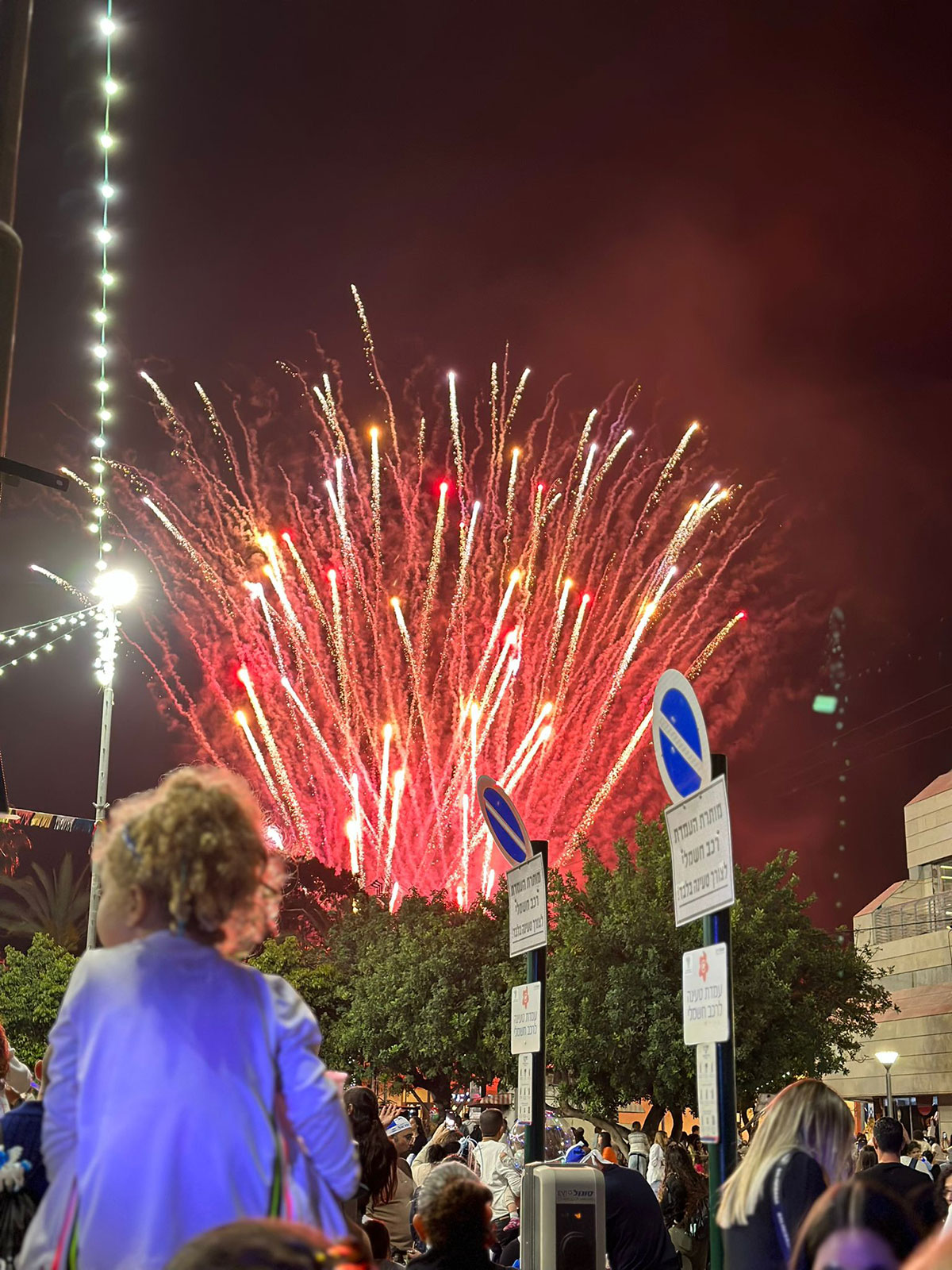 מופע זיקוקים מרהיב. צילומים: צילומים שגיא, אודי יובל
