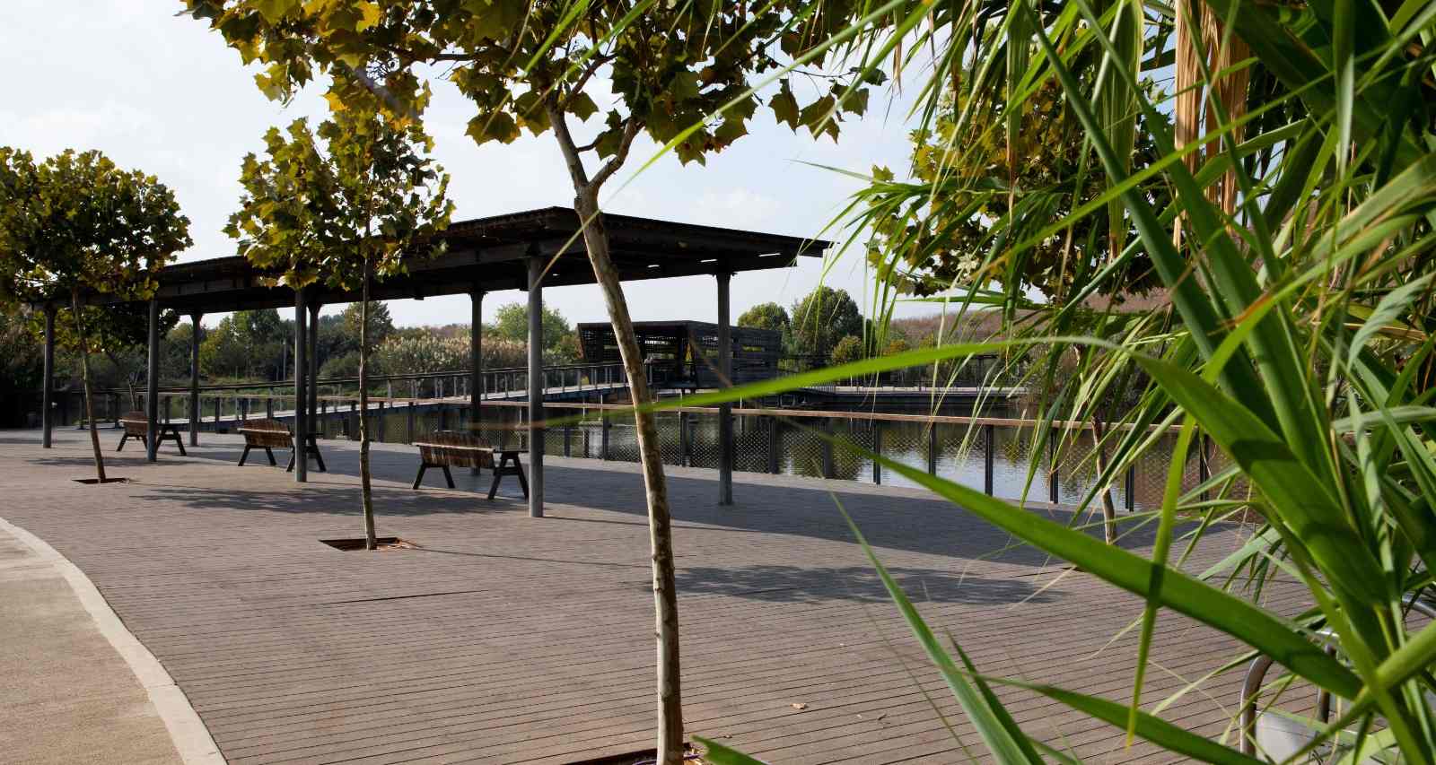 הפארק האקולוגי של הוד השרון. צילום: מיה