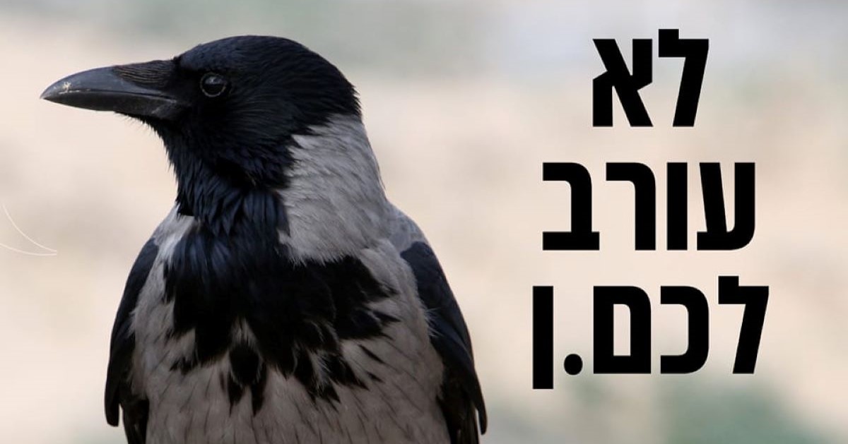מתוך פוסט הפייסבוק של עיריית רמה"ש