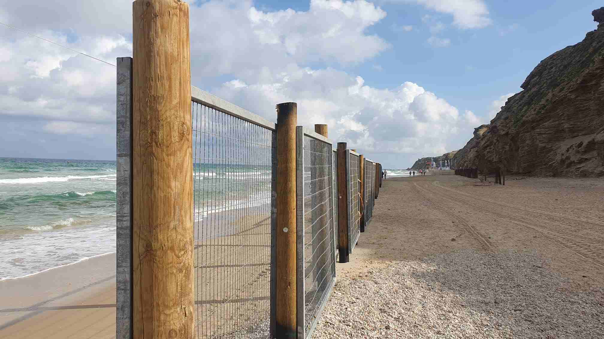סידני עלי, לפני הזזת העמודים. צילום: ינאי זלצר