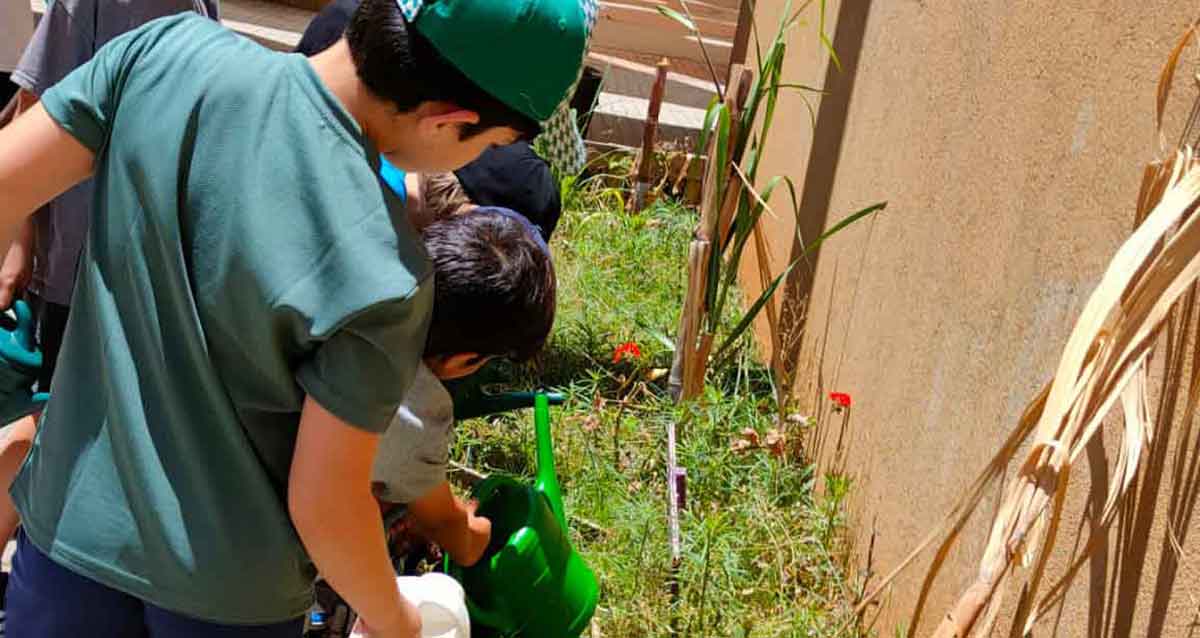 ילדים משקים ומטפחים ערוגות הנטועות בצמיגים ממוחזרים בבית חינוך "דרך"