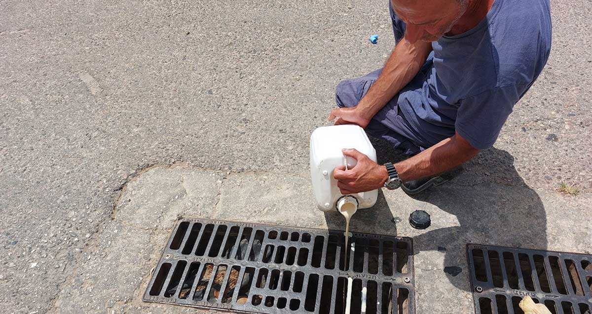 הדברת יתושים מאזורים בהם ישנים מים עומדים