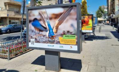 תמונות מהתערוכה ברחוב סוקולוב. צילום: דוברות עיריית הרצליה