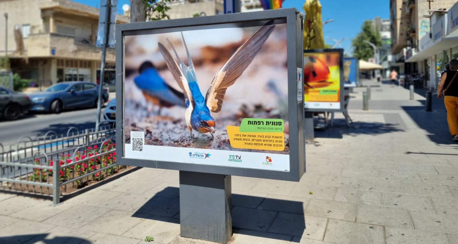 תמונות מהתערוכה ברחוב סוקולוב. צילום: דוברות עיריית הרצליה