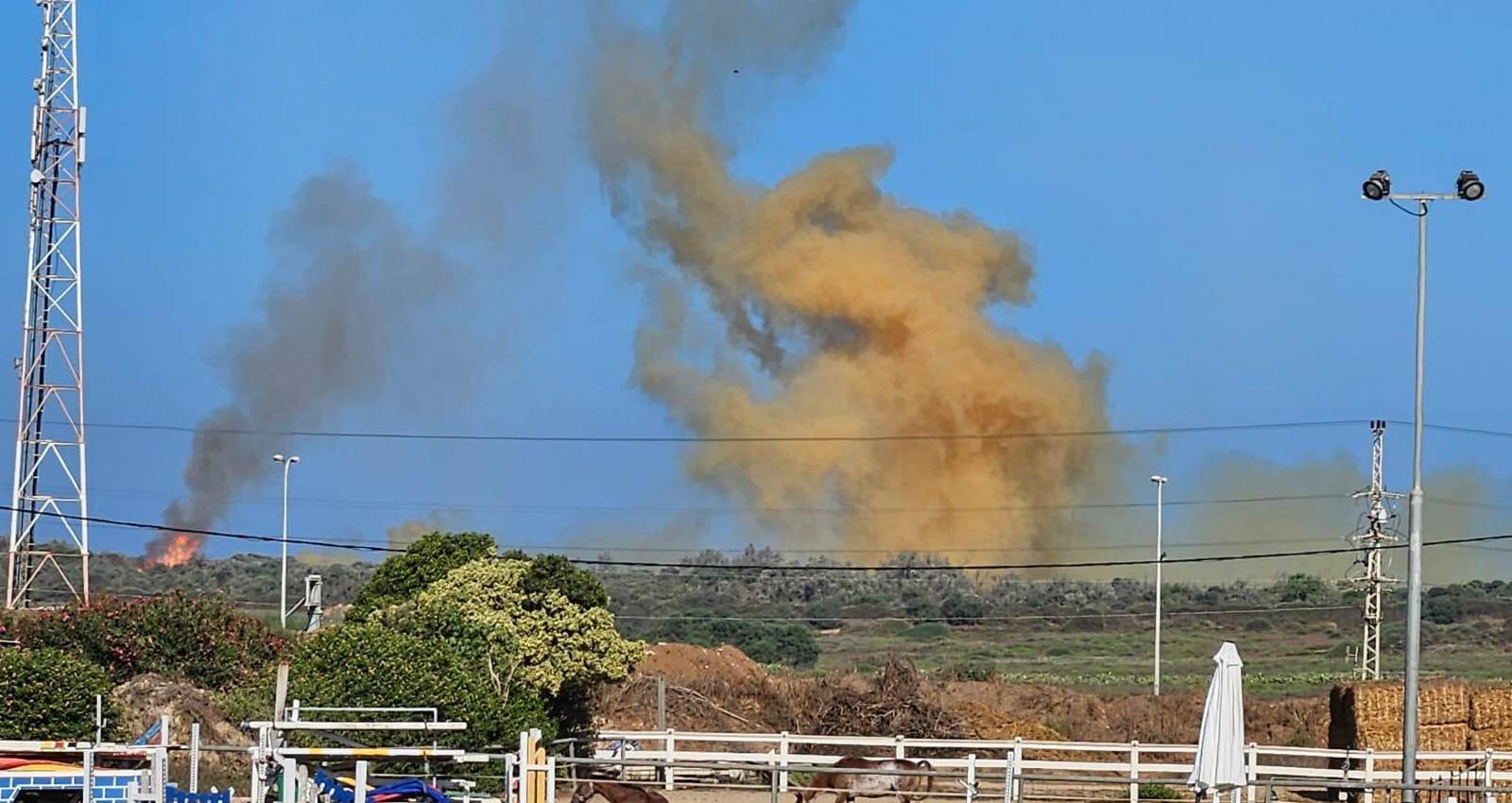 פטריית העשן. צילום: Christine Campbell