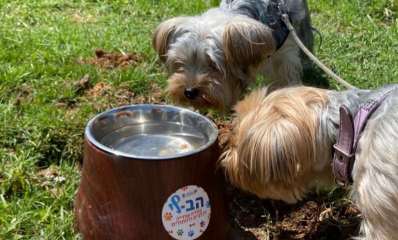 עמדת שתייה "הב-לי" ברחבת יד לבנים. צילום: דוברות עיריית הרצליה