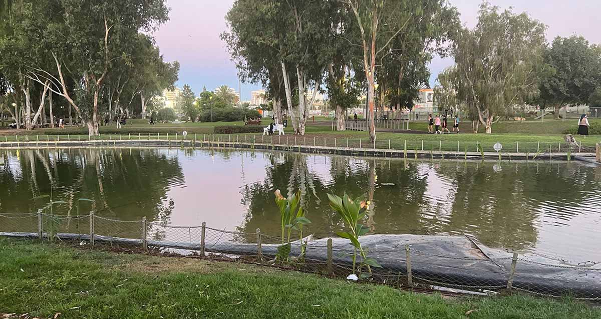 האגם המחודש בפארק הרצליה. צילום: מדיה היפר לוקאלית