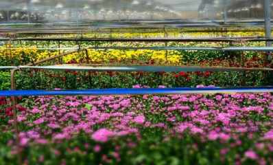 משק בן צבי בנתיב העשרה. צילום באדיבות המשק