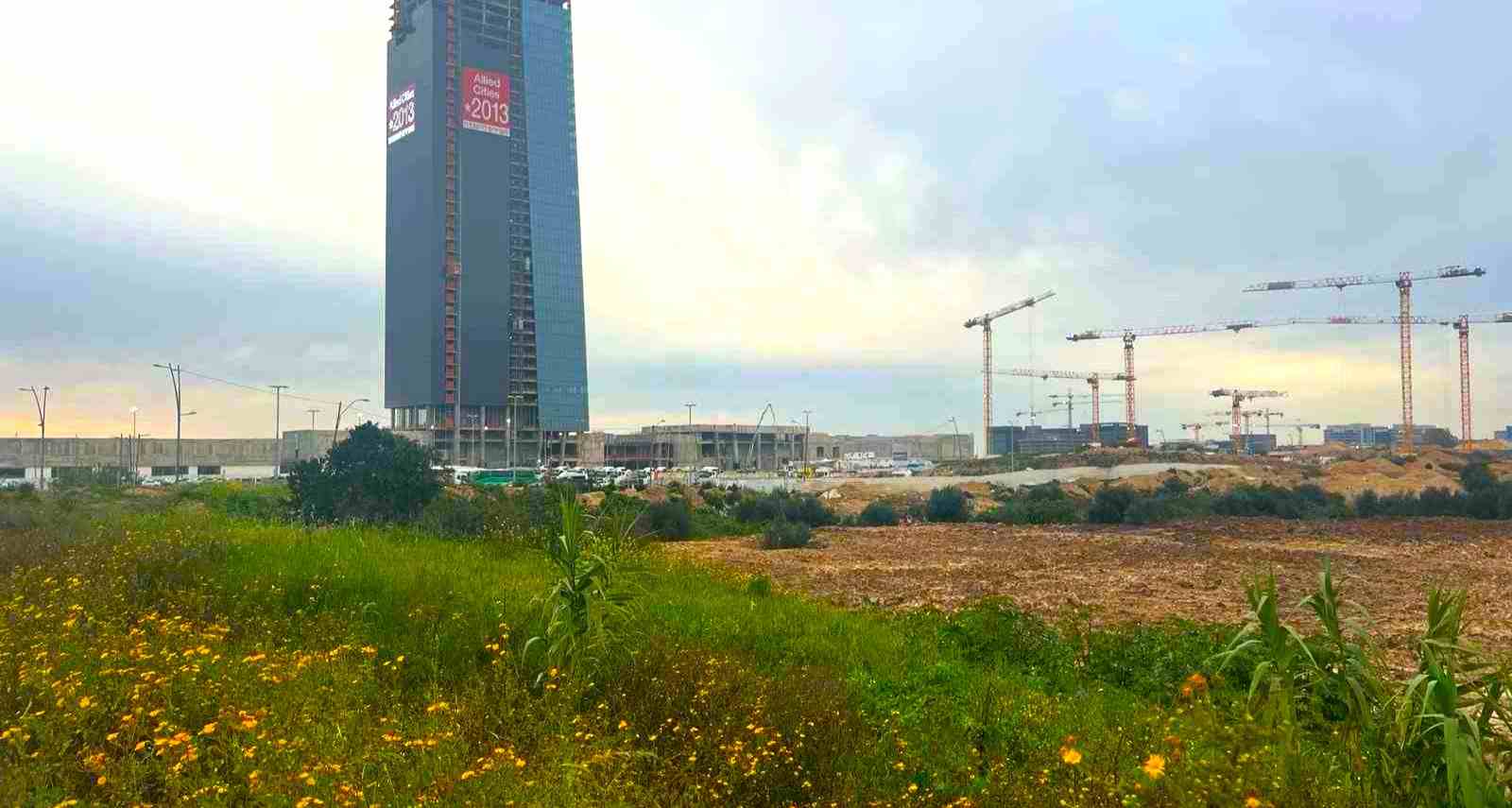 אופציה א - כיתוב: רמת שרון של מרבדי חרציות או ים של מגדלים? מתחם סינמה סיטי. צילום: מדיה היפר לוקאלית