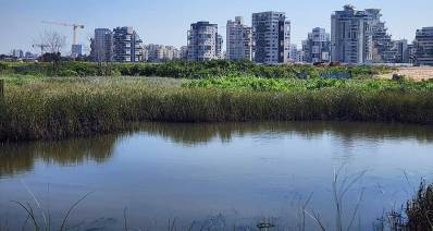 שכונת נווה גן ברמת השרון. צילום: פרטי