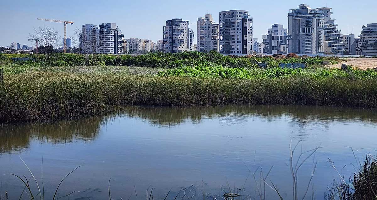 שכונת נווה גן ברמת השרון. צילום: פרטי