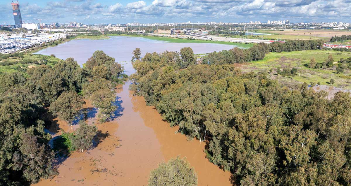 עמק הנרקיסים באזור גלילות מוצף במים