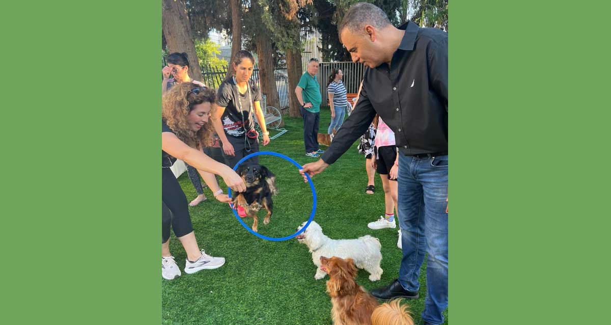 גינת כלבים קטנים ברח' גאולה בעיר